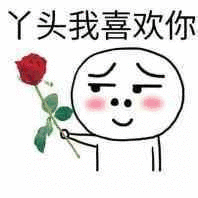 丫头我喜欢你（丫头我喜欢你）