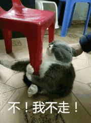 不！我不走（不！我不走）