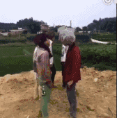 葬爱家族（葬爱家族）