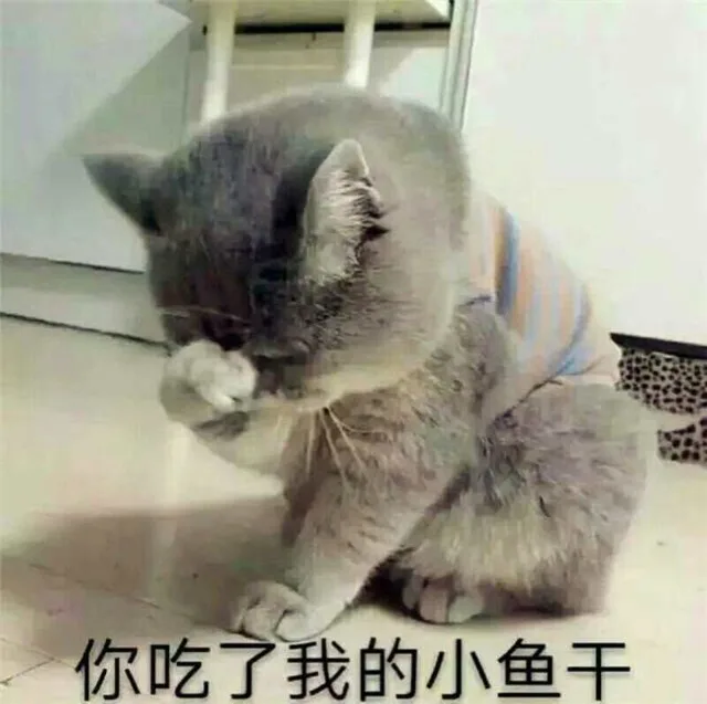 你吃了我的小鱼干！（你吃了我的小鱼干！）