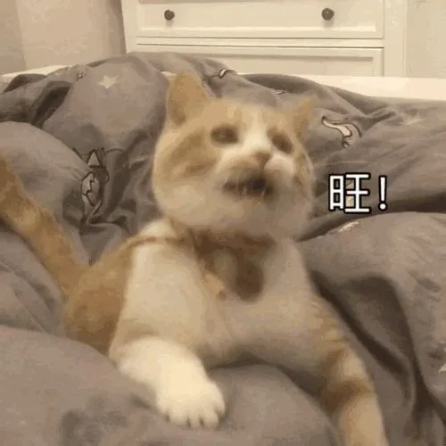 旺（旺）