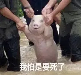 我怕是要死了（我怕是要死了）
