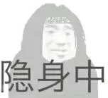 隐身中（隐身中）