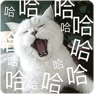 哈哈哈哈哈哈（哈哈哈哈哈哈）