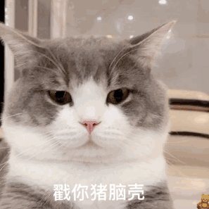 戳你猪脑亮（戳你猪脑亮）
