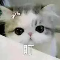 盯（盯）
