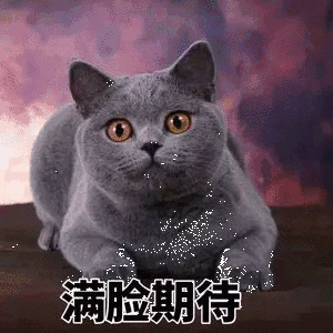 满脸期待（满脸期待）