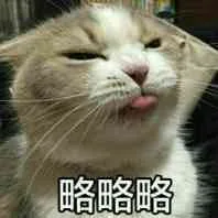 略略略（略略略）