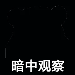 暗中观察（暗中观察）