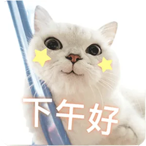 下午好（下午好）