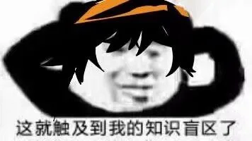 这就触及到我的知识盲区了（这就触及到我的知识盲区了）