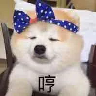 哼！（可爱）（哼！（可爱））