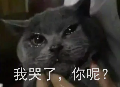 我哭了，你呢？（我哭了，你呢？）