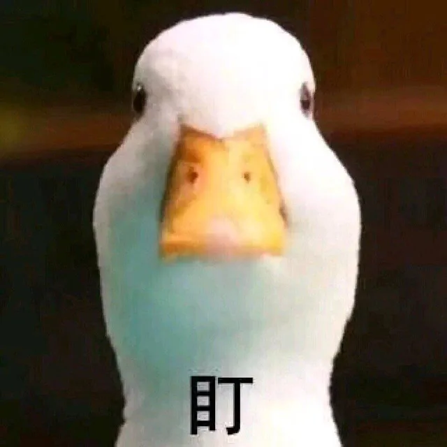 盯（鸭子）（盯（鸭子））