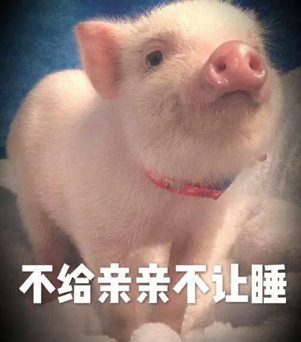 不给亲亲不让睡（不给亲亲不让睡）