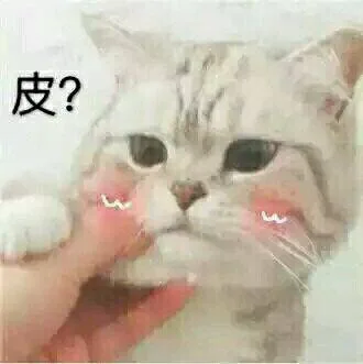 皮?（皮?）