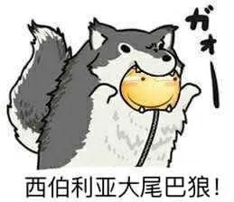 西伯利亚大尾巴狼！（西伯利亚大尾巴狼！）