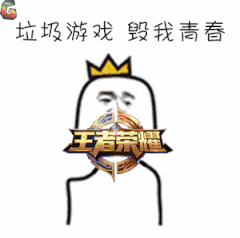 垃圾游戏毁我青春（垃圾游戏毁我青春）