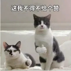 这我不得不给个费（这我不得不给个费）