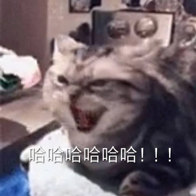 哈哈哈哈哈哈！！（哈哈哈哈哈哈！！）