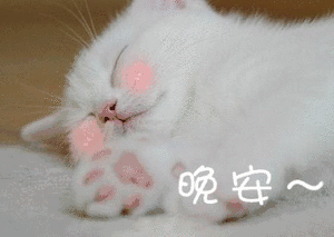 晚安（晚安）