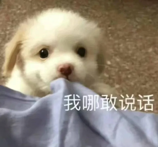 我哪敢说话（我哪敢说话）