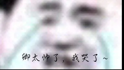 太帅了，我哭了~（太帅了，我哭了~）