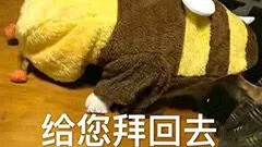 给您拜回去（给您拜回去）