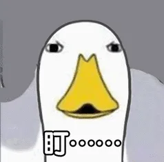 盯。。。（鸭子）（盯。。。（鸭子））
