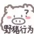 野猪行为（野猪行为）