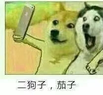 二狗子，茄子（二狗子，茄子）