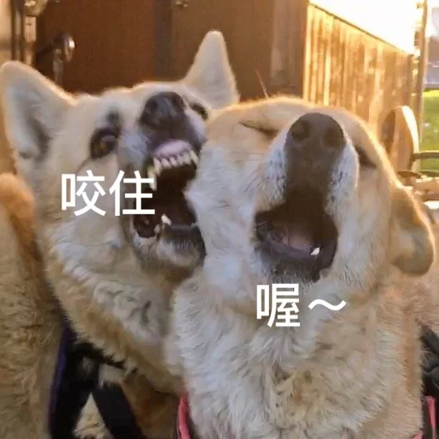 咬住！喔！（咬住！喔！）