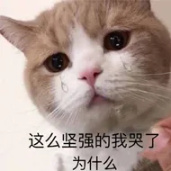 这么坚强的我哭了为什么（这么坚强的我哭了为什么）