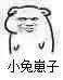 小兔崽子！（坏坏）（小兔崽子！（坏坏））