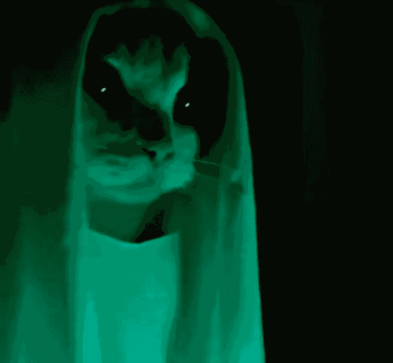 可怕小猫（可怕小猫）