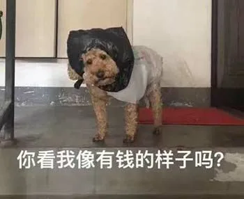 你看我像有钱的样子吗？（你看我像有钱的样子吗？）