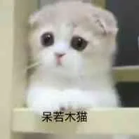 呆若木猫（呆若木猫）