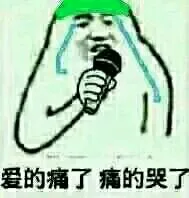 爱的痛了痛的哭了（爱的痛了痛的哭了）