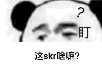 盯，这SKR啥嘛？（盯，这SKR啥嘛？）