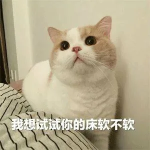 我想试试你的床软不软（我想试试你的床软不软）