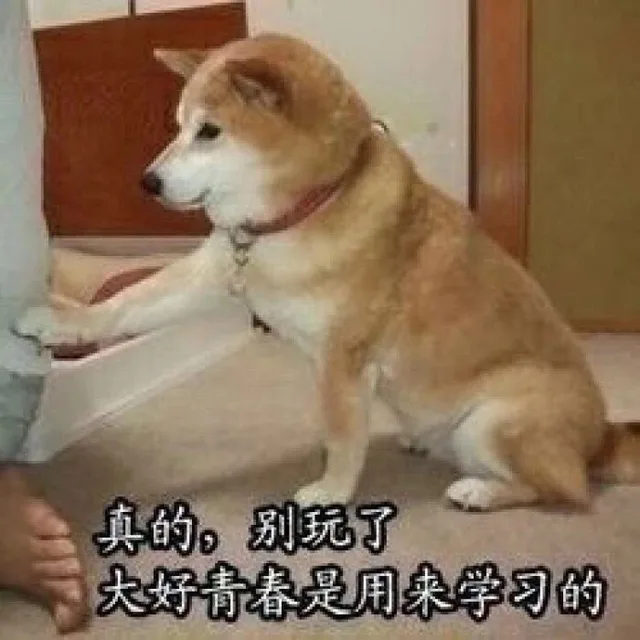 真的，别玩了，大好青春是用来学习的（真的，别玩了，大好青春是用来学习的）