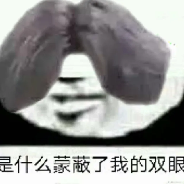 是什么蒙蔽了我的双眼（是什么蒙蔽了我的双眼）