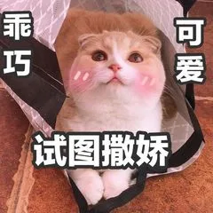 乖巧可爱，试图撒娇（乖巧可爱，试图撒娇）