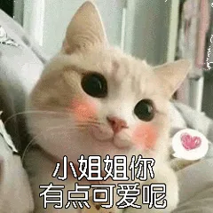 小姐姐你有点可爱呢（小姐姐你有点可爱呢）