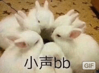 小声bb（小声bb）