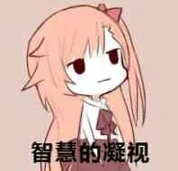 智慧的凝视（智慧的凝视）