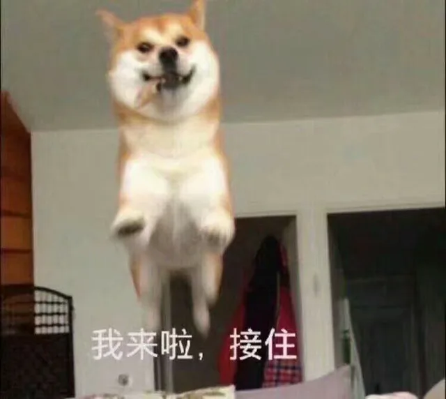 我来啦，接住（我来啦，接住）