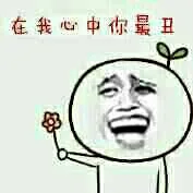 送花：在我心中你最丑（送花：在我心中你最丑）