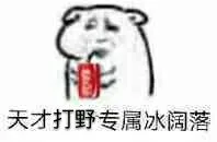 天才打野专属冰阔落（天才打野专属冰阔落）