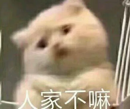 人家不嘛（人家不嘛）
